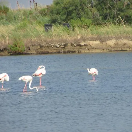 Hotel Casa Per Ferie Maria Assunta Lido di Jesolo