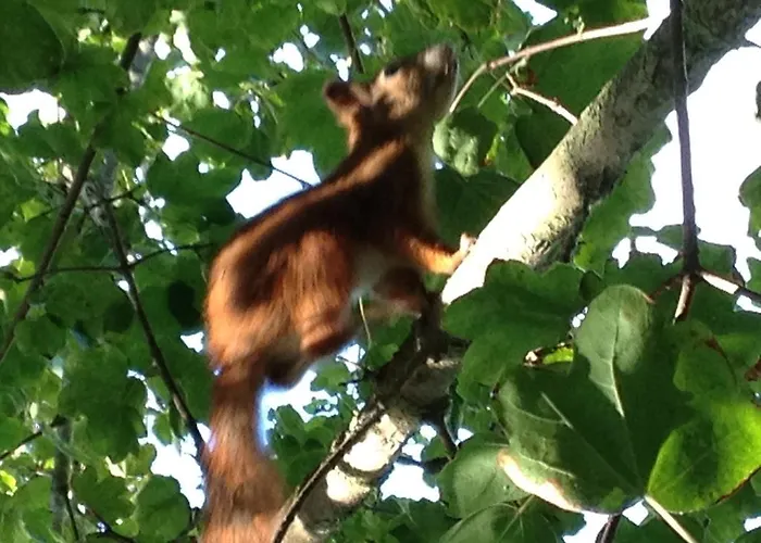 Hotel Casa Per Ferie Maria Assunta Jesolo