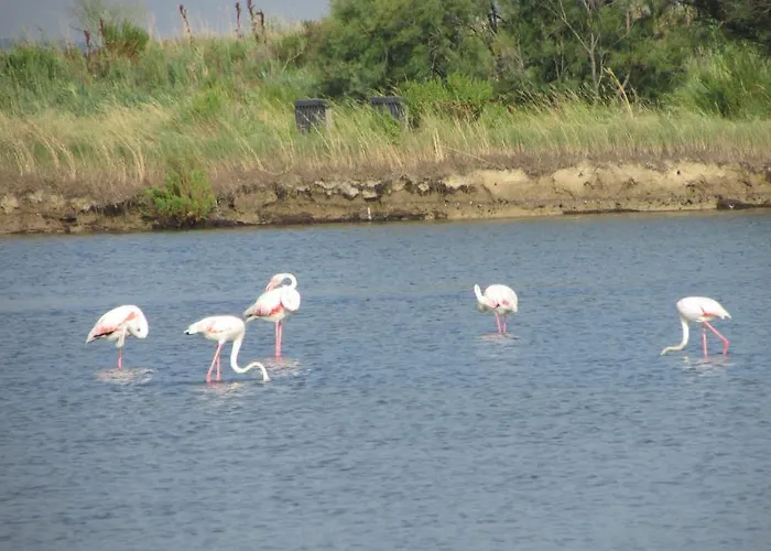 Hotel Casa Per Ferie Maria Assunta Jesolo